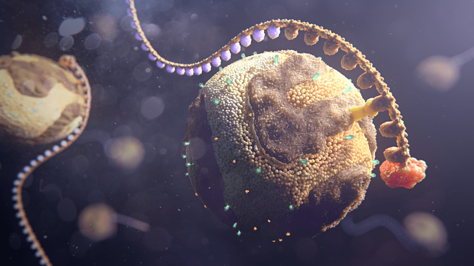 Lp(a) - misteriozni čimbenik ateroskleroze 