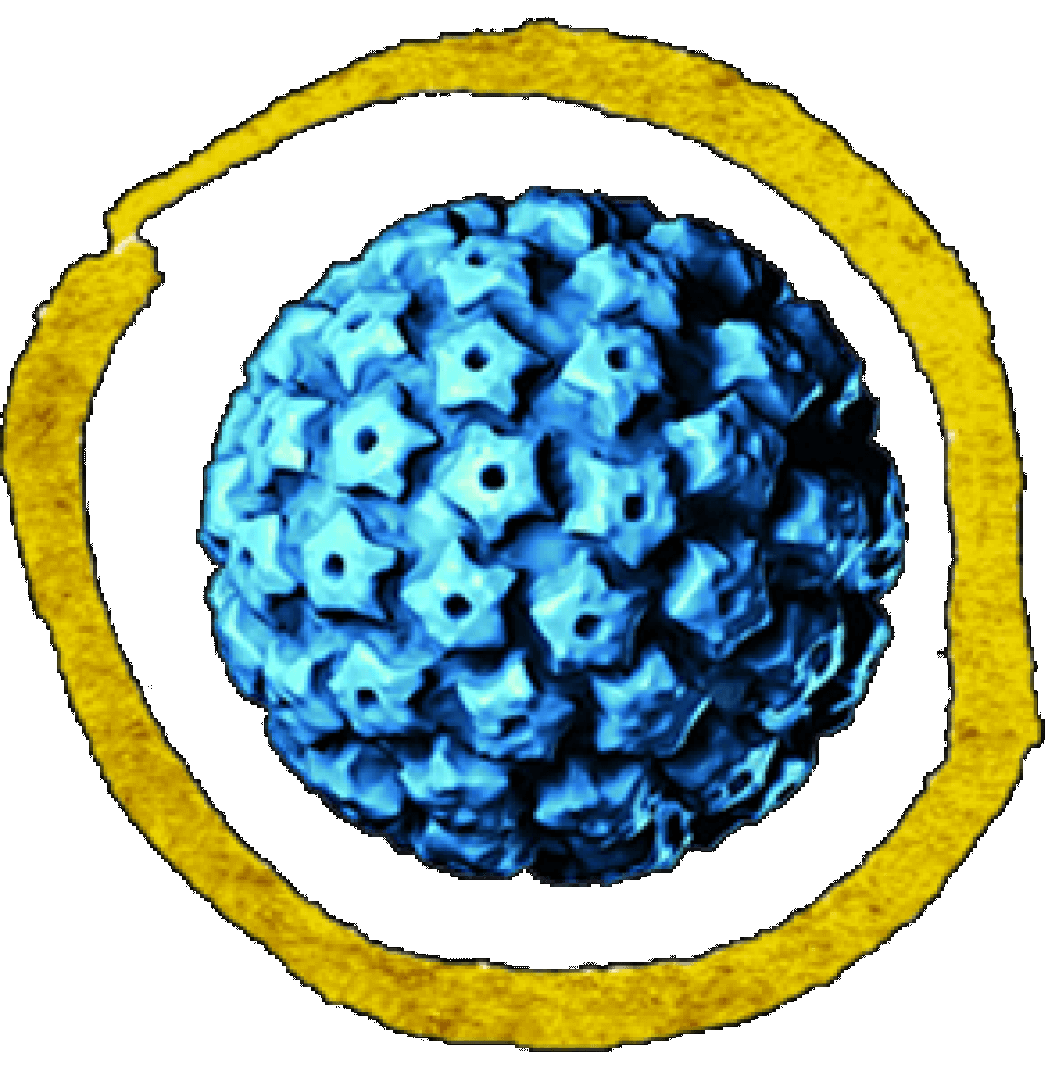 Zašto (ne) treba preporučiti cijepljenje protiv HPV-a?